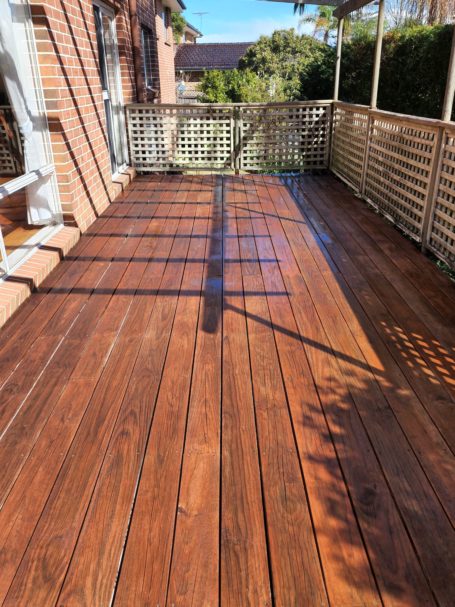 Freshly stained and sealed hardwood timber deck glowing in the sun