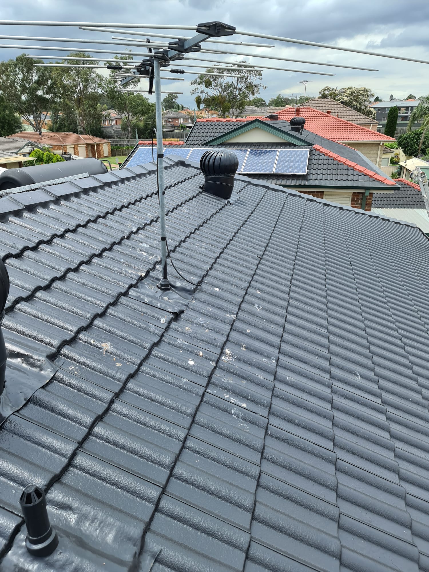 Charcoal tiled roof freshly restored and coated in Sydney